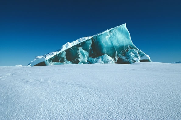 Antarctica Expedition Amazing Facts